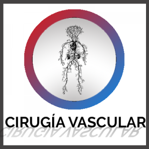 Cirugía Vascular