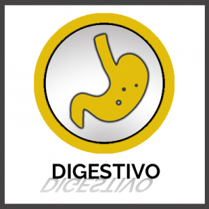 Digestivo