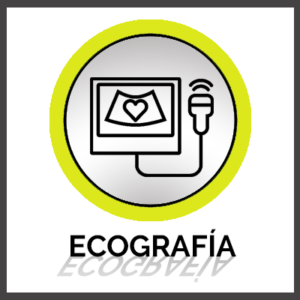 Ecografia