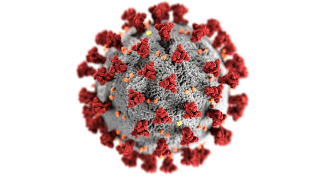 Sesiones Curso de actualización de urgencias. Infecciosas