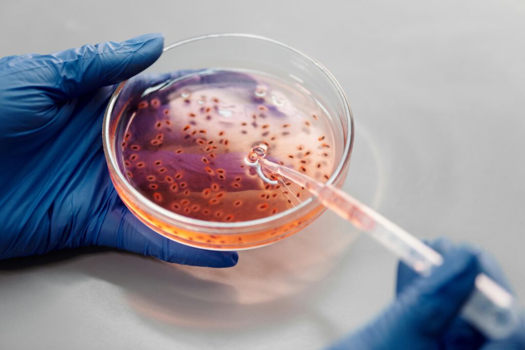 Sesiones Curso de actualización de urgencias 2Ed Infecciosas